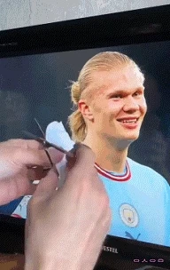 786d0de824fc099f3df52937f221639d..gif