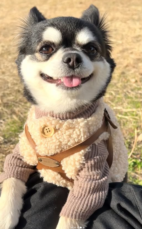 스크린샷 2025-04-18 103234.png