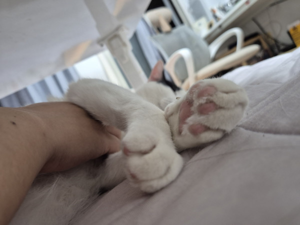thumb-3d49144c8378a61462305aa13edd0667_1745666266_4149_600x0.jpg