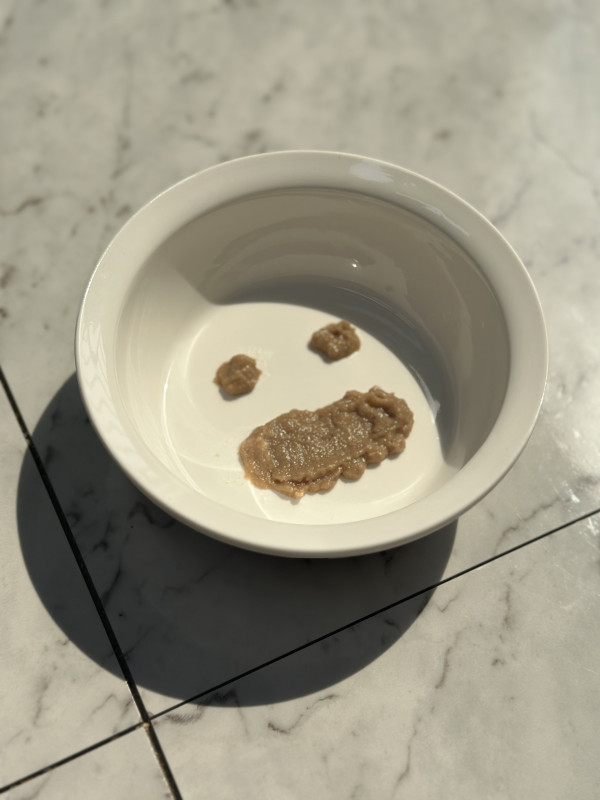 62bca587996f63e08e16df406c9853fe_1745474552_6191.jpeg