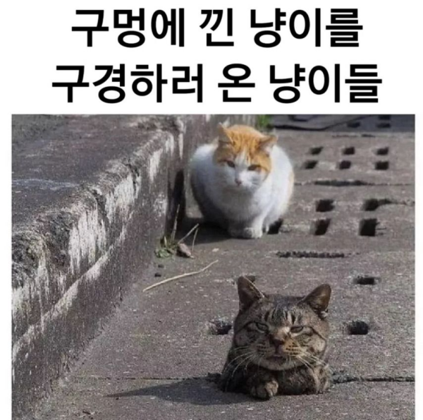 8652532034c0b52ece978b06337f1ef3_1745564688_609.png