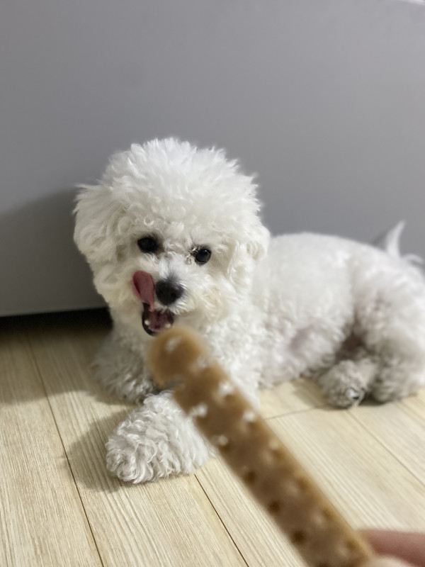 92580905b76b521c59a622e0d8b175ee_1744368049_1006.jpeg