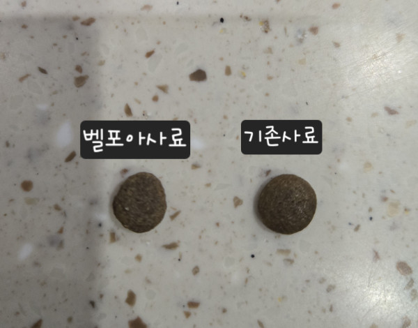 a70cdac3dbba0a86dd52817db61f0572_1744256314_6327.jpg