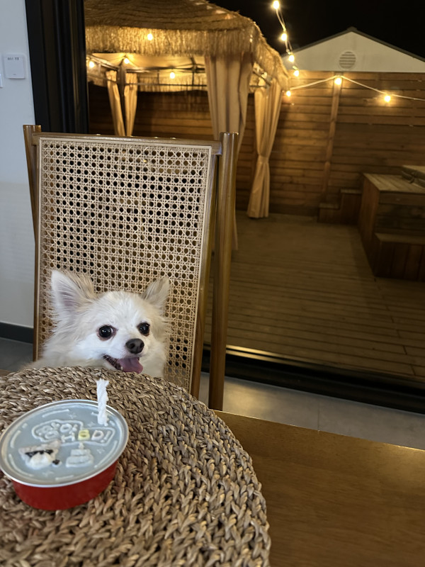 a7d6caae3a63e0eacbd0304790b6de8f_1745518716_6326.jpeg