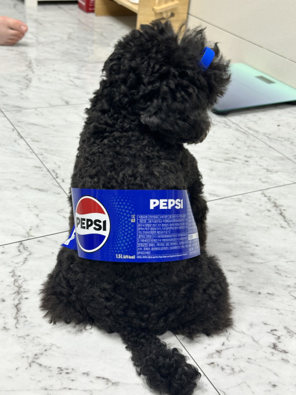cfead91d2da595ed9a6e9898615f2e09_1745420478_7359.jpeg