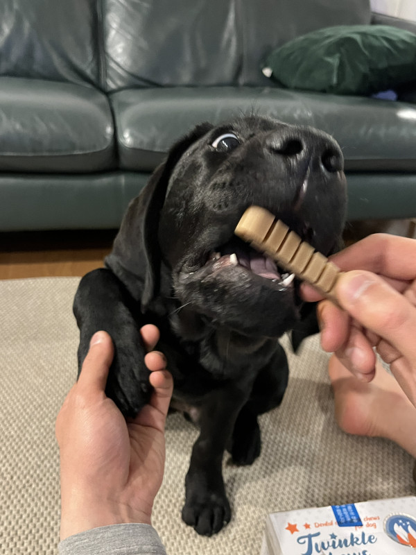 d04a28d8c663039e04d243a9ccbf04a1_1744202680_1054.jpeg