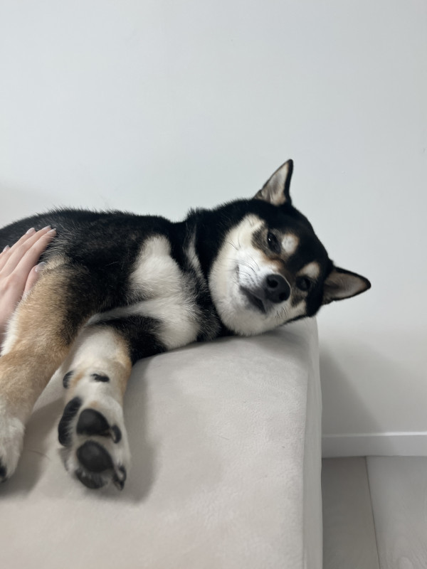 ede2e19c52253f1738ca11e3f02e80d3_1744254171_4048.jpeg