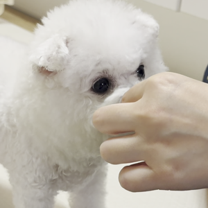 동영상 썸네일
