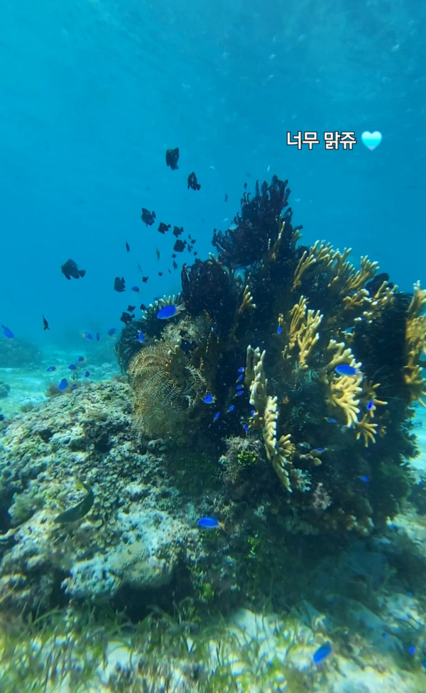 33e16870b52194adf50de5a47eff71d1_1761200085_4409.jpg