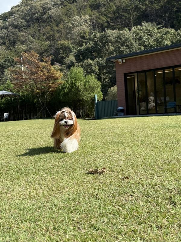 5734902923beb63cbb24f0049ea15f8f_1761113482_5197.jpeg