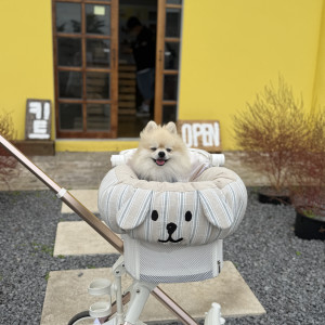 MVPET 당선 이미지