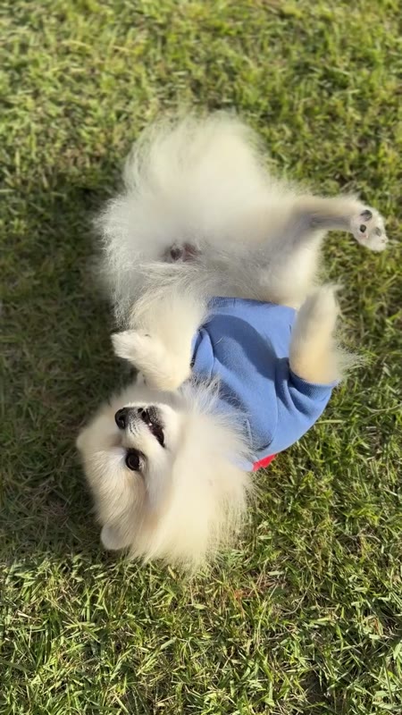 동영상 썸네일