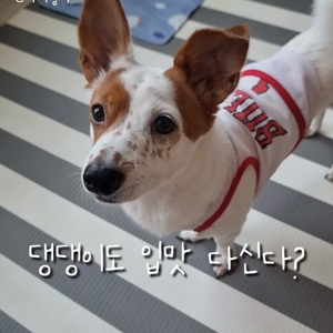 동영상 썸네일