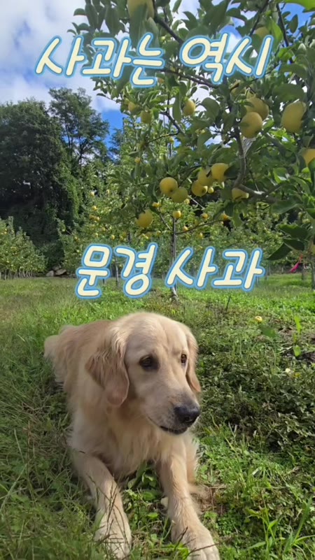 동영상 썸네일