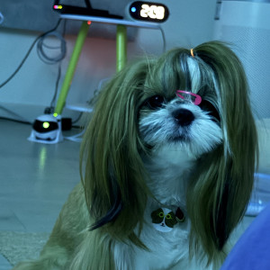 MVPET 후보 이미지