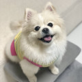 프로필 사진