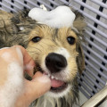 프로필 사진